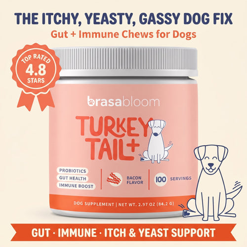 BrasaBloom Gut & Immune Chews