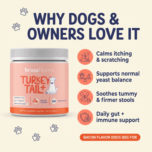 First Order Free Bonus – Turkey Tail+