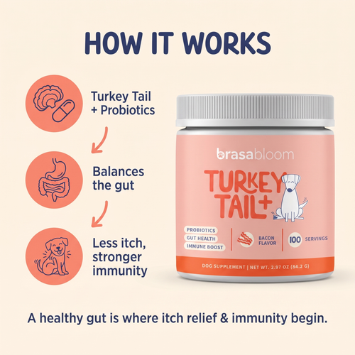 First Order Free Bonus – Turkey Tail+