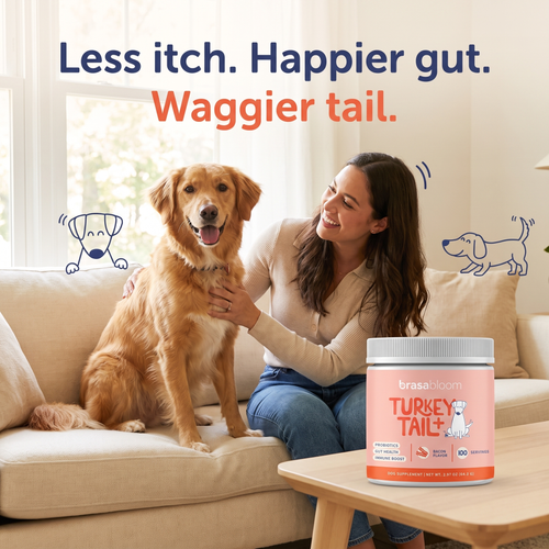 BrasaBloom Gut & Immune Chews
